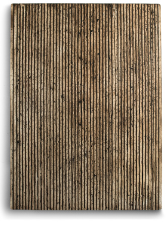 https://www.blais.ch/files/gimgs/th-42_42_image-16.png